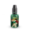 Concentré Shaken 30ml - Fighter Fuel (1)
