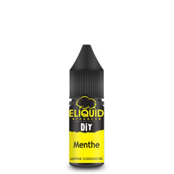 Concentré Menthe - Eliquid France