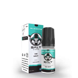 Ice Mint - Salt E-Vapor
