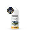 Concentré Mango 30ml - Vape Sauce (1)