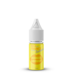 Concentré Mangue Abricot - Bio Pure France