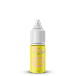 Concentré Mangue Glacée - Bio Pure France