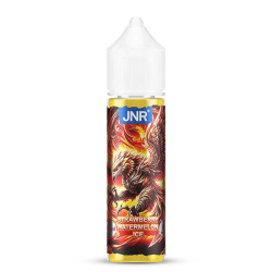 Strawberry Watermelon Ice 50ml - JNR