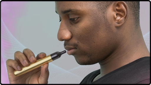 Le pod Vilter Pro Pen